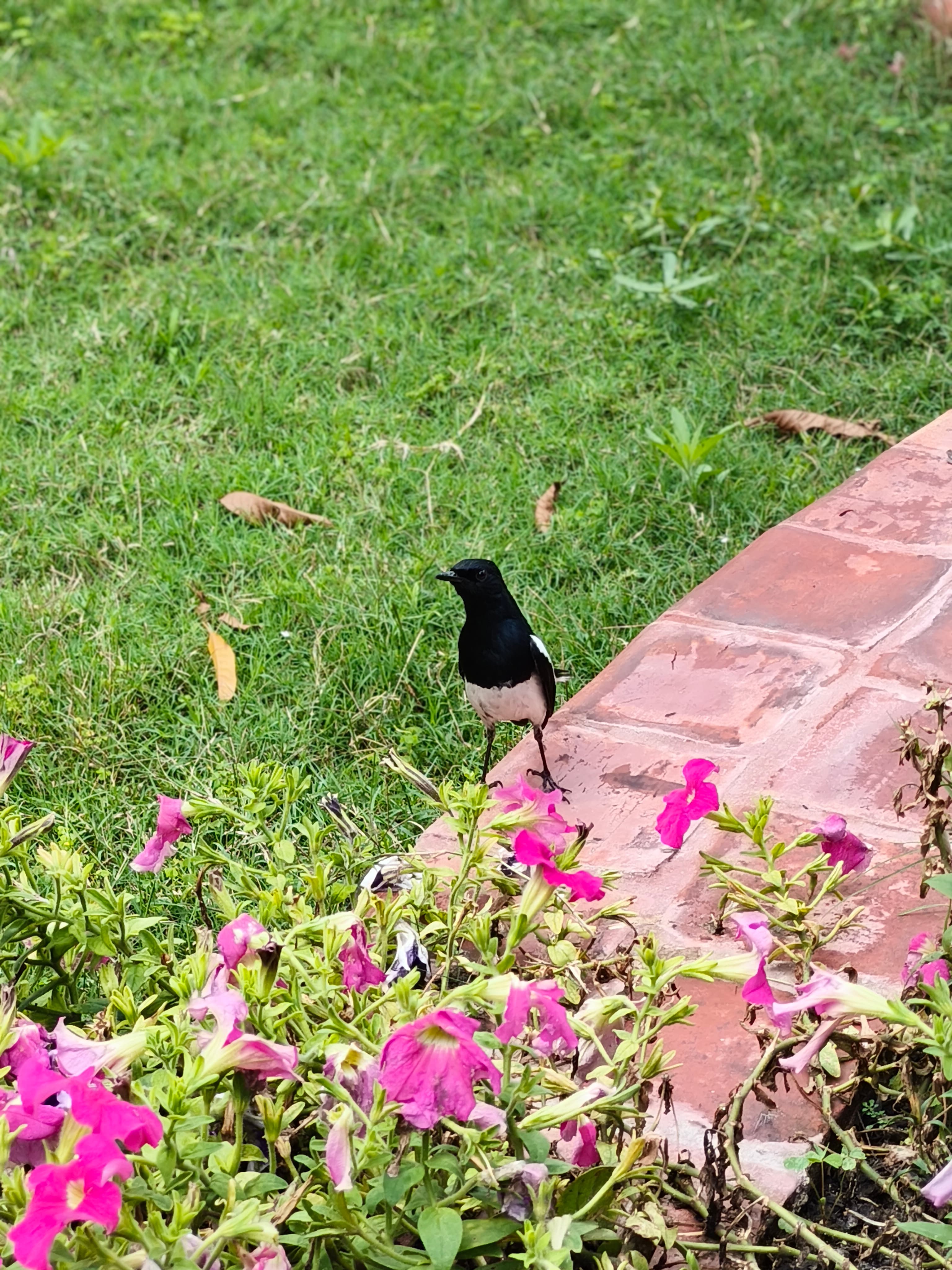 Photograph 1