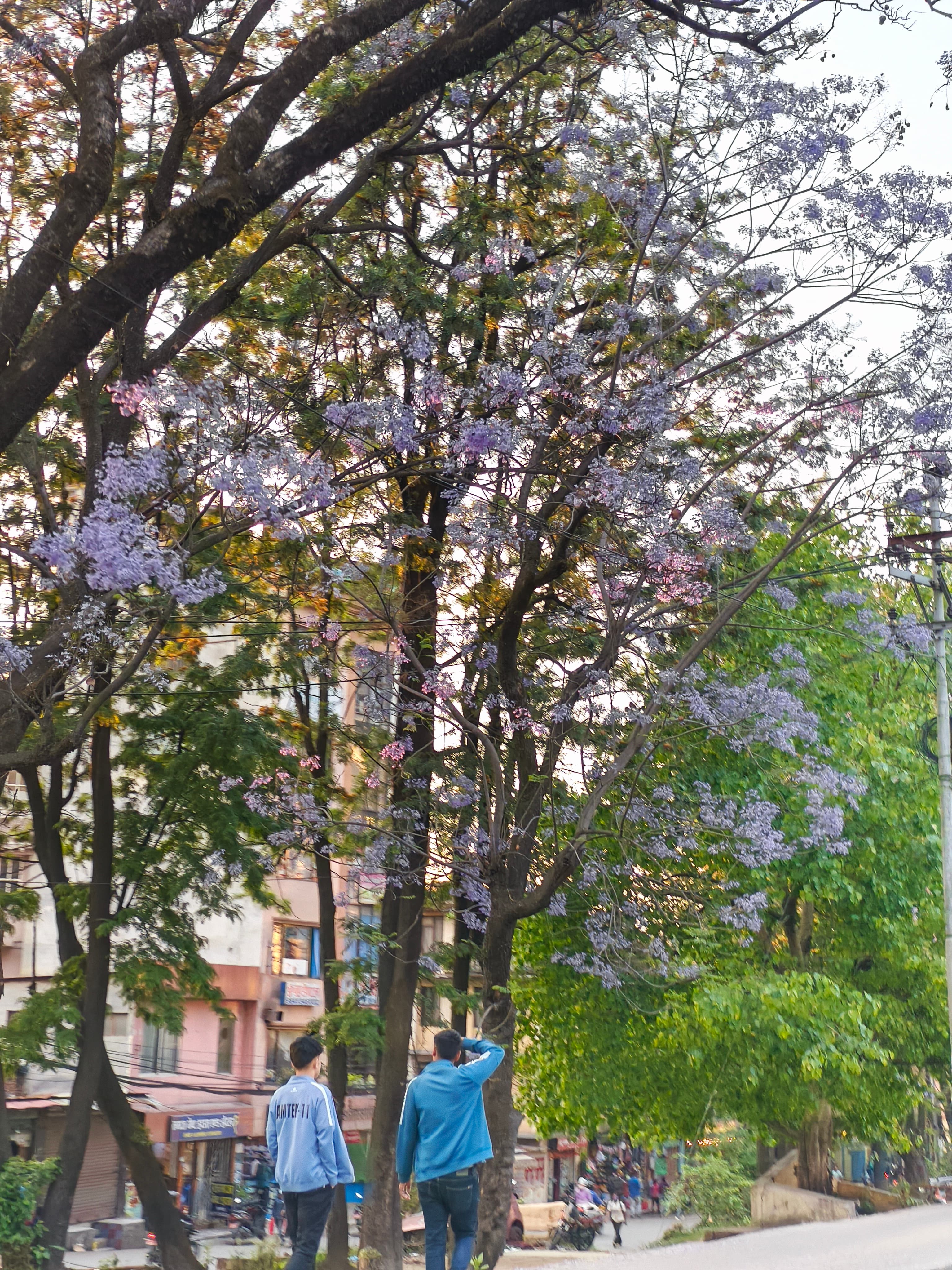 Photograph 4