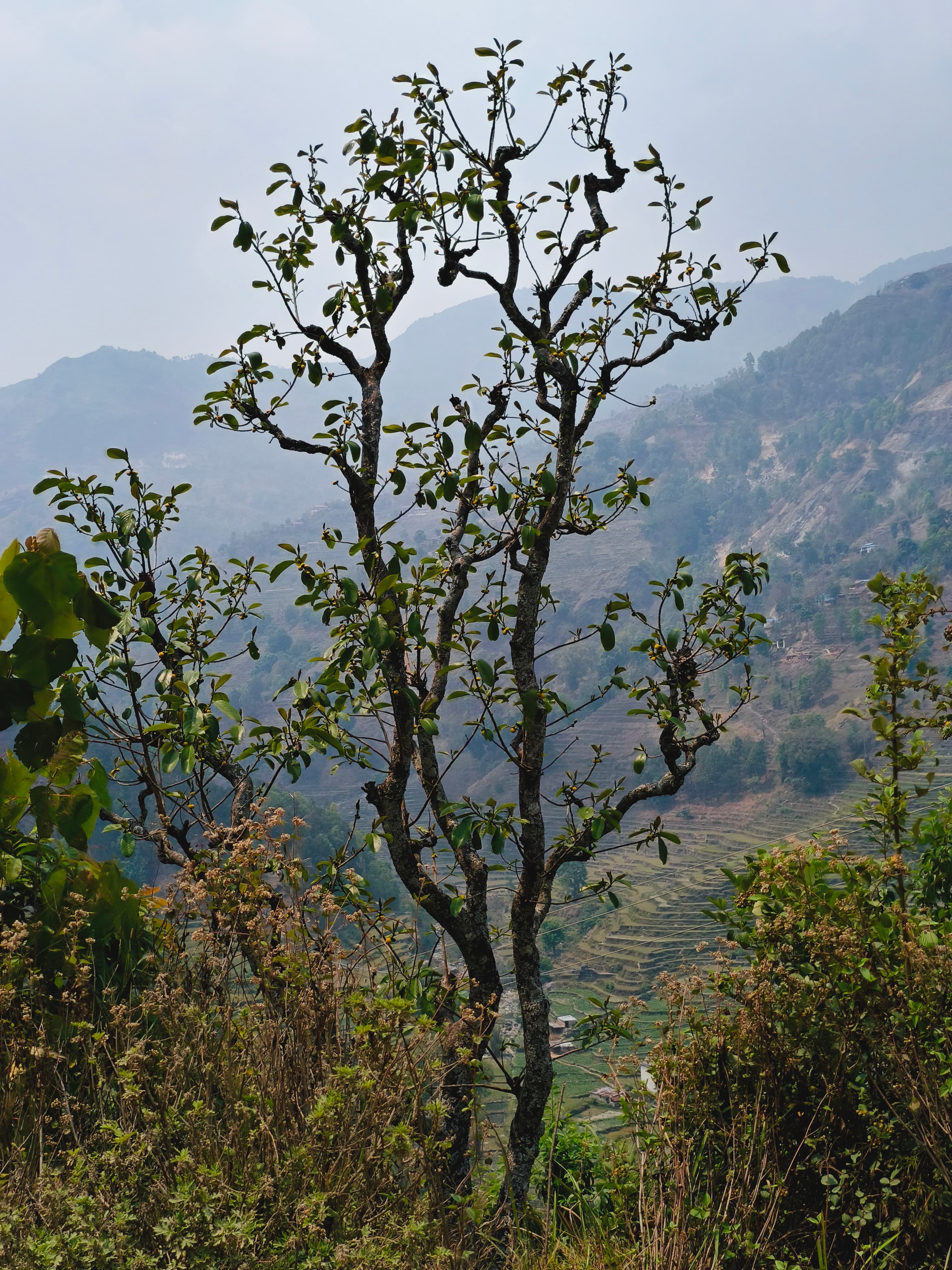Photograph 7