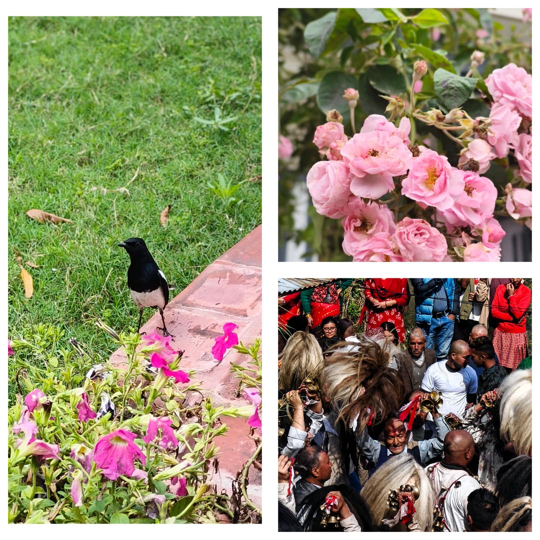 Three Photos I Took With My Phone (And What They Accidentally Taught Me About Design)